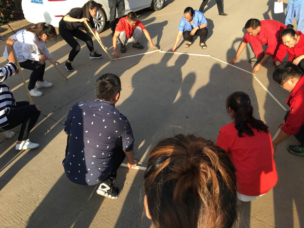 Gioca nel cuscinetto di Slewing XZWD