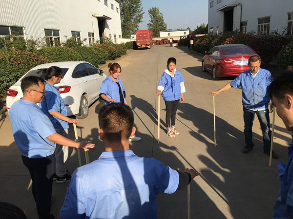 Gioca nel cuscinetto di Slewing XZWD