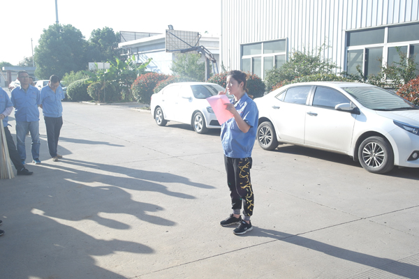 Lo sport del cuscinetto di slewing xzwd