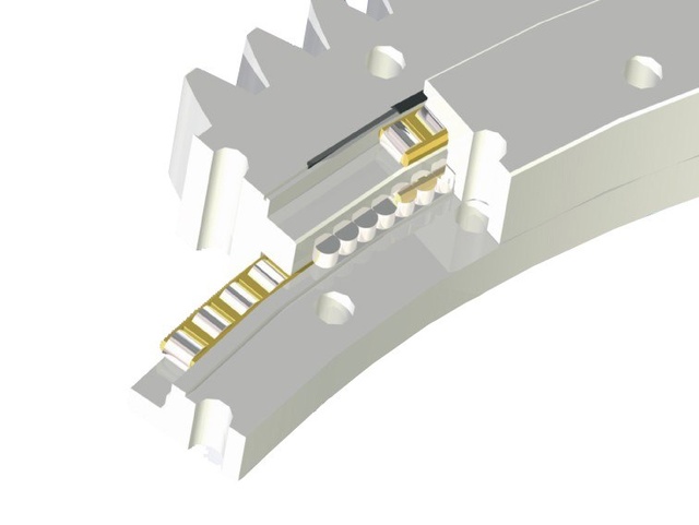 Struttura dell'ingranaggio esterno dell'anello a plewing