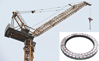 Fornitori di anelli a carne a basso costo